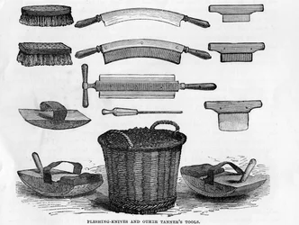 Cuchillos de Despellejar y otras Herramientas de Curtidor